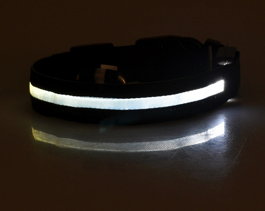 LED Dog collar