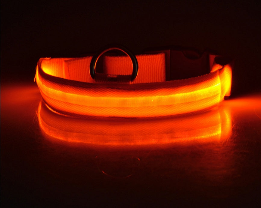 LED Dog collar