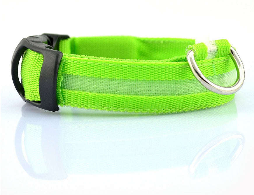 LED Dog collar
