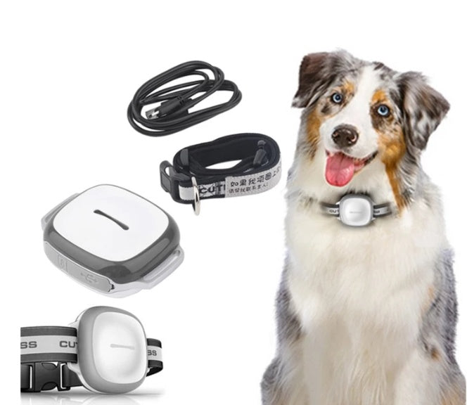 Collared Pet Locator
