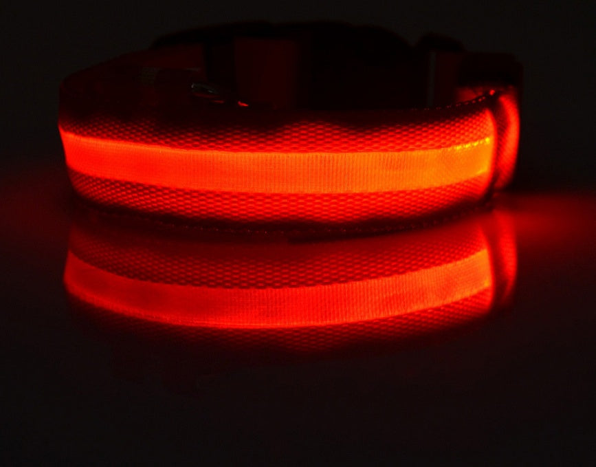 LED Dog collar