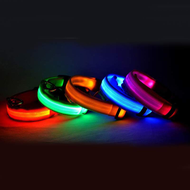 LED Dog collar