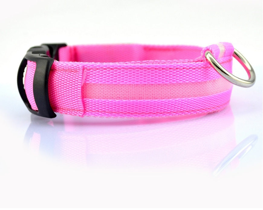 LED Dog collar