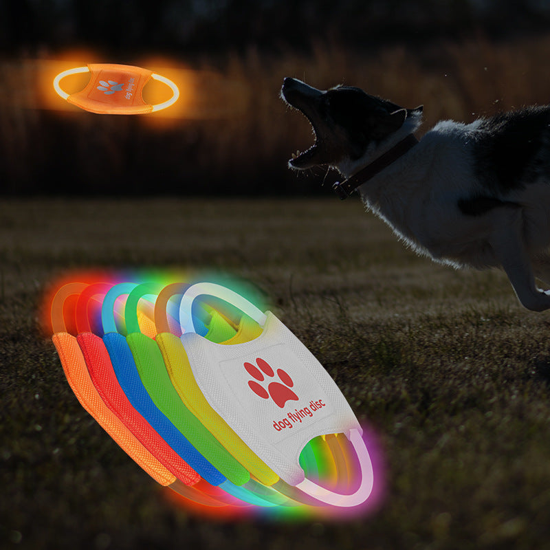 LED Dog disc toy