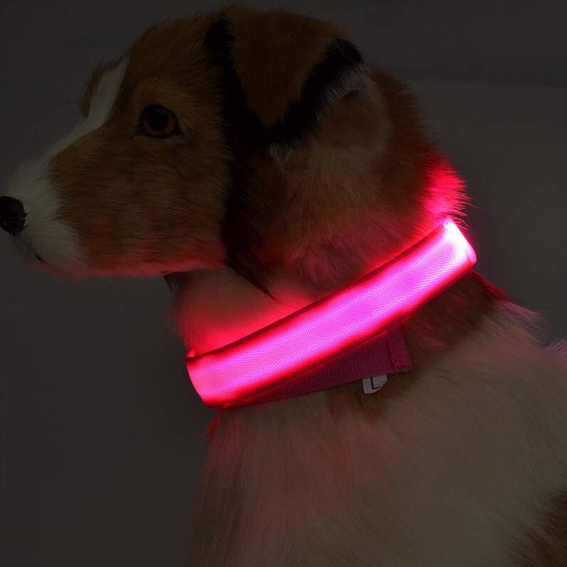LED Dog collar