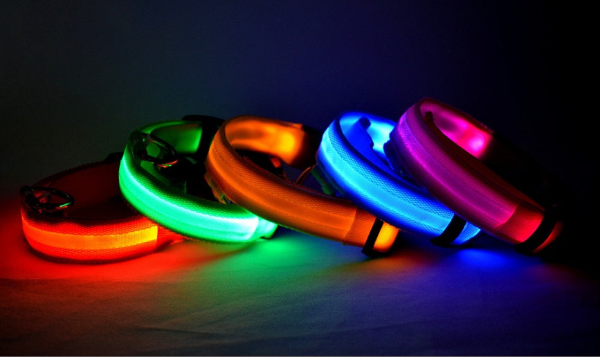 LED Dog collar