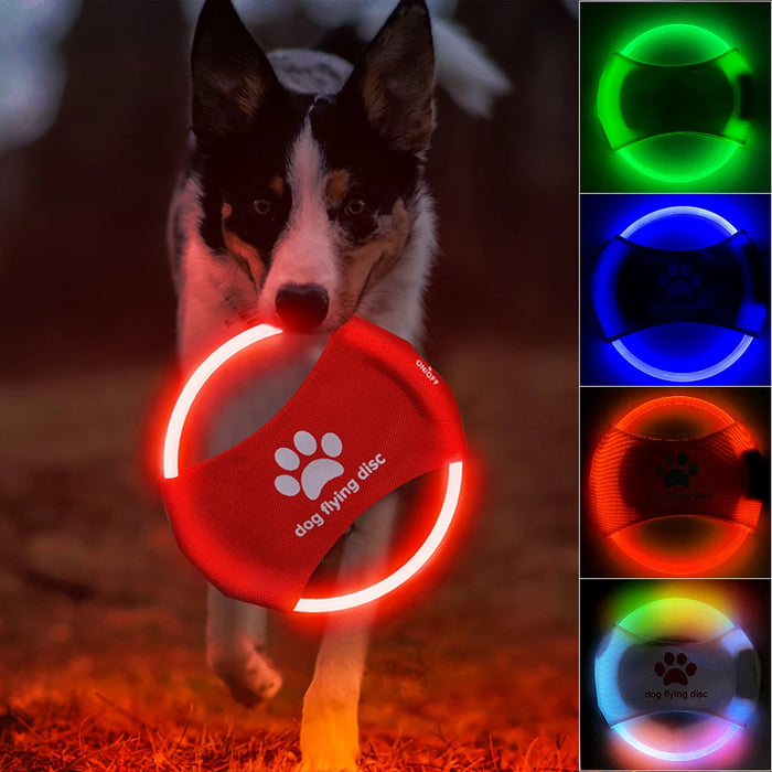 LED Dog disc toy