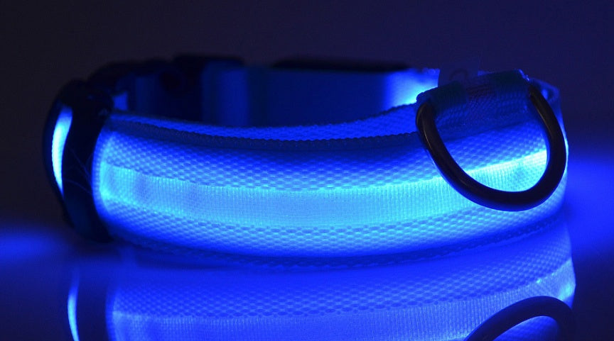 LED Dog collar